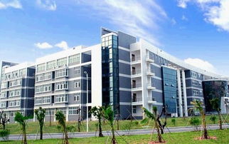 廈門(mén)理工學(xué)院軟件工程學(xué)院的專業(yè)介紹