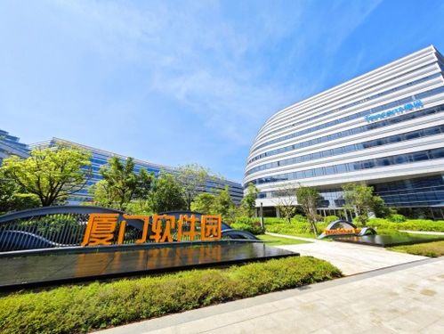 廈門思明 打造人工智能生態(tài)圈 為新質(zhì)生產(chǎn)力蓄勢(shì)賦能