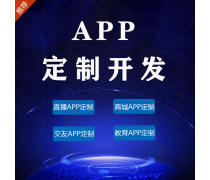 廈門應用軟件開發(fā)